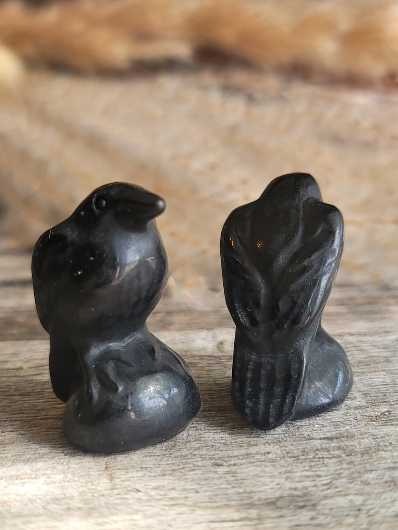 Obsidian Raven