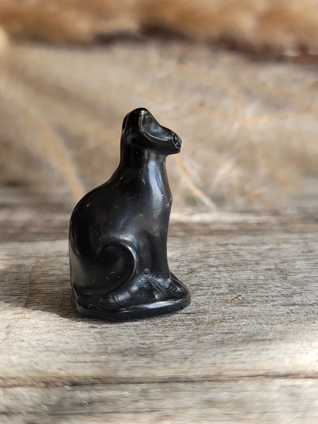 Obsidian Cat