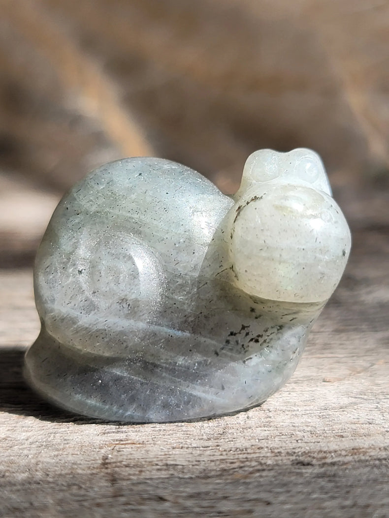 Labradorite Snail