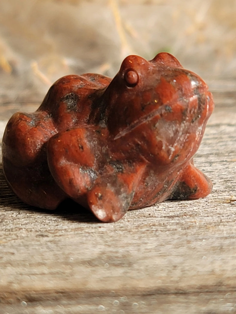 Red Jasper Frog
