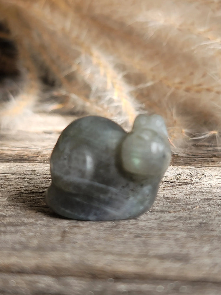 Labradorite Snail