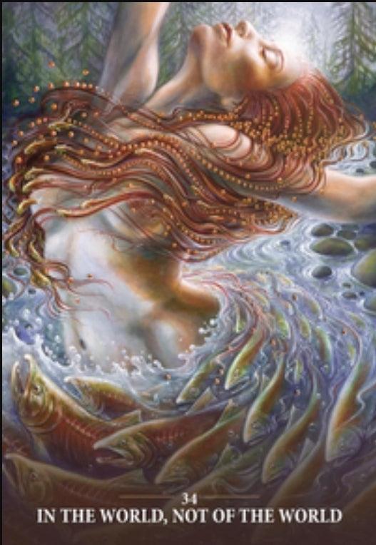 Sacred Rebels Oracle - Oracle Deck - Wild Raven