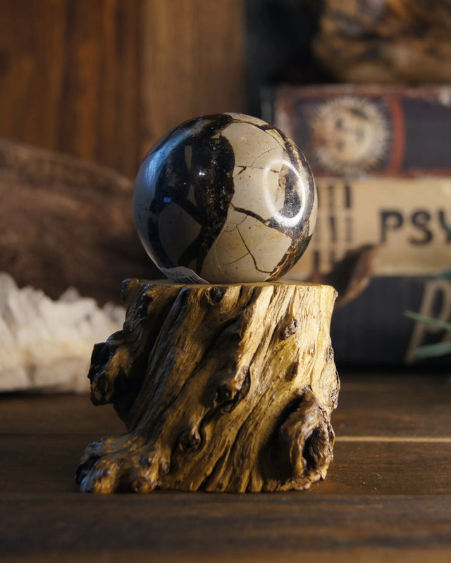 septarium sphere available at wild ravens nest terrell tx