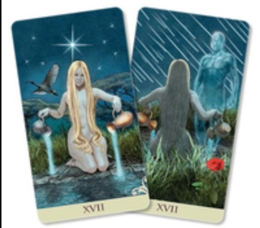 Viceversa Tarot - Tarot Deck - Wild Raven