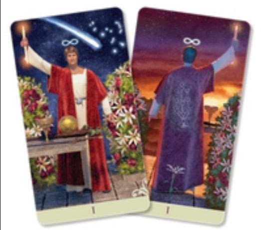 Viceversa Tarot - Tarot Deck - Wild Raven