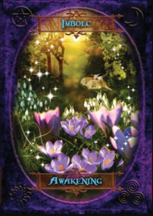 Witches Wisdom Oracle - Oracle Deck - Wild Raven