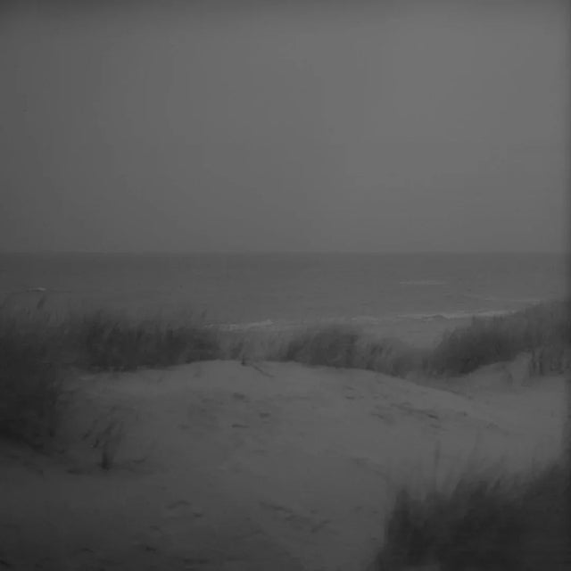 Black and white photo of sand dunes with tall grass by a calm sea under a cloudy sky.