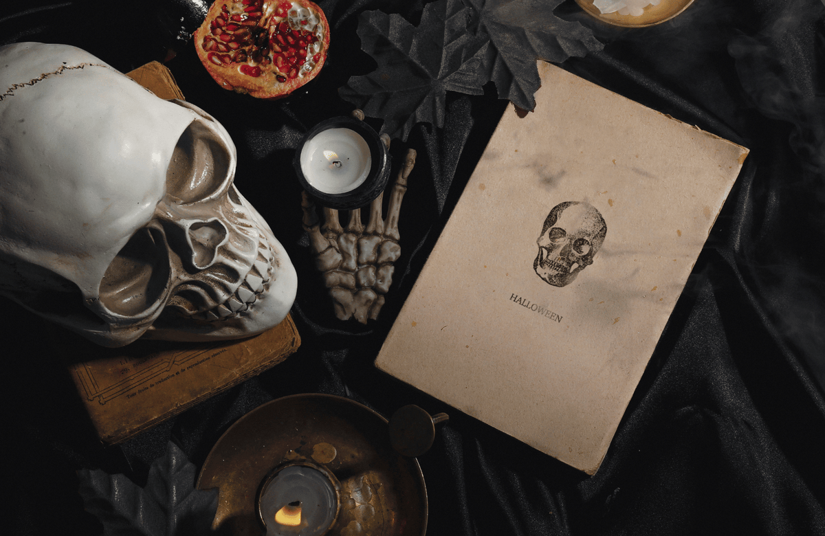 Skull and Journal