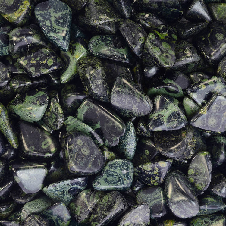 Crocodile Jasper | Primal Strength, Stability