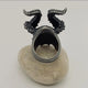 10 Stainless steel skull Ring - Wild Raven