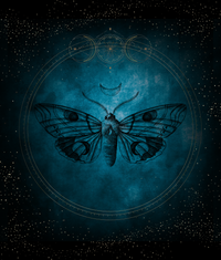 The Tarot Alchemy Notebook