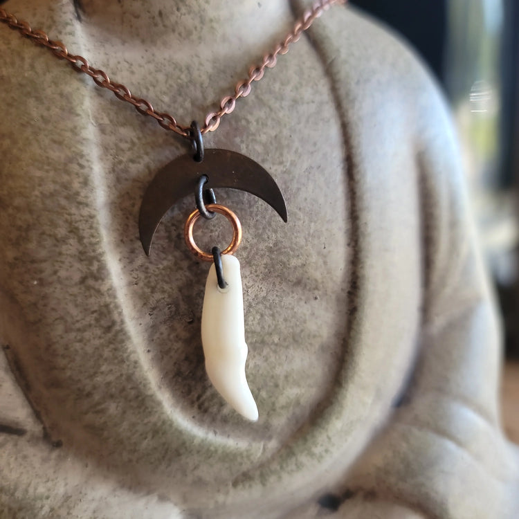 Coyote Tooth Necklace