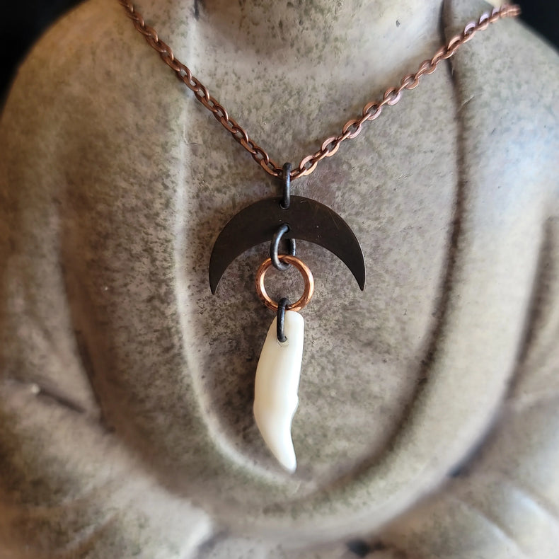 Coyote Tooth Necklace