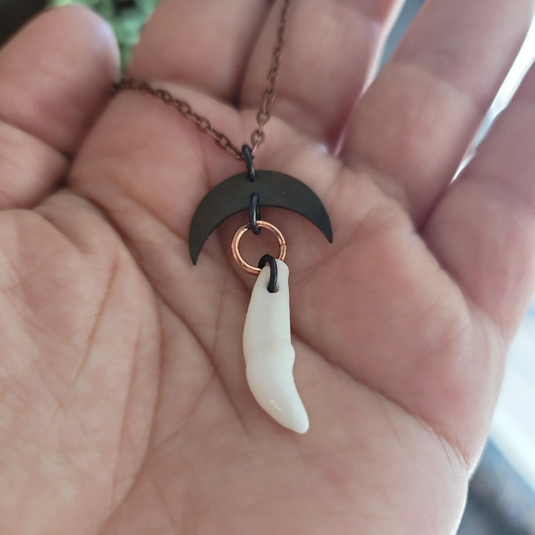 Coyote Tooth Necklace