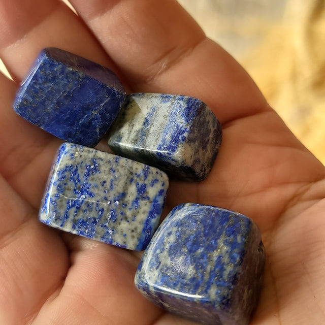 Lapis Lazuli Tumbled