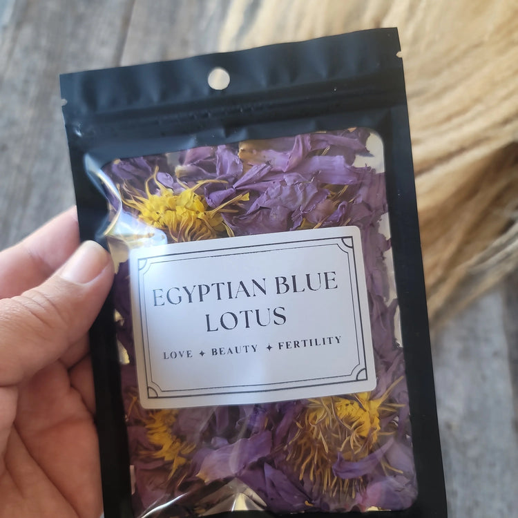 Blue Lotus Flower | Sacred Relaxation & Lucid Dreaming