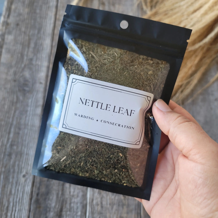 Nettle Leaf | Strengthening Herb for Blood, Boundaries & Spellwork