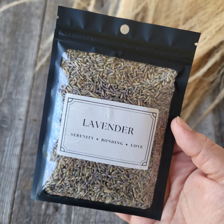 Lavender Herb | Classic Calm for Mind, Body & Magic