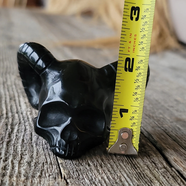 Obsidian Skull - horned