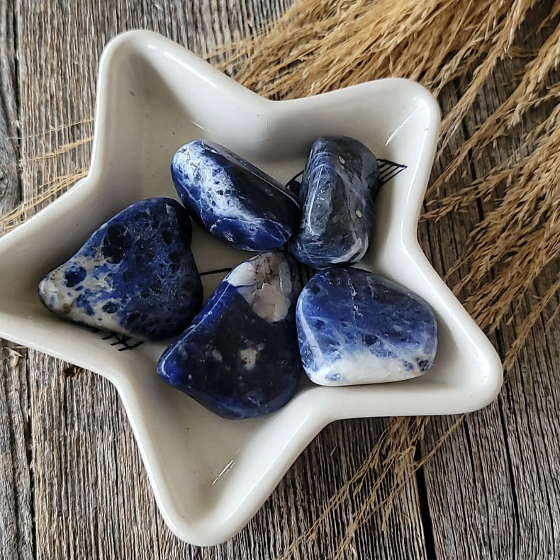 Sodalite Tumbled | Insight + Truth Stone