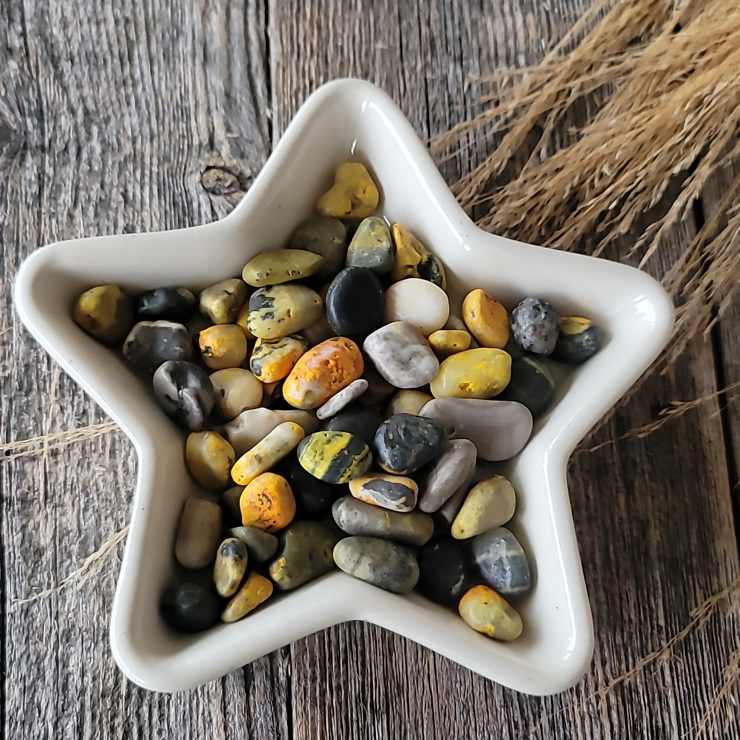 Bumblebee jasper