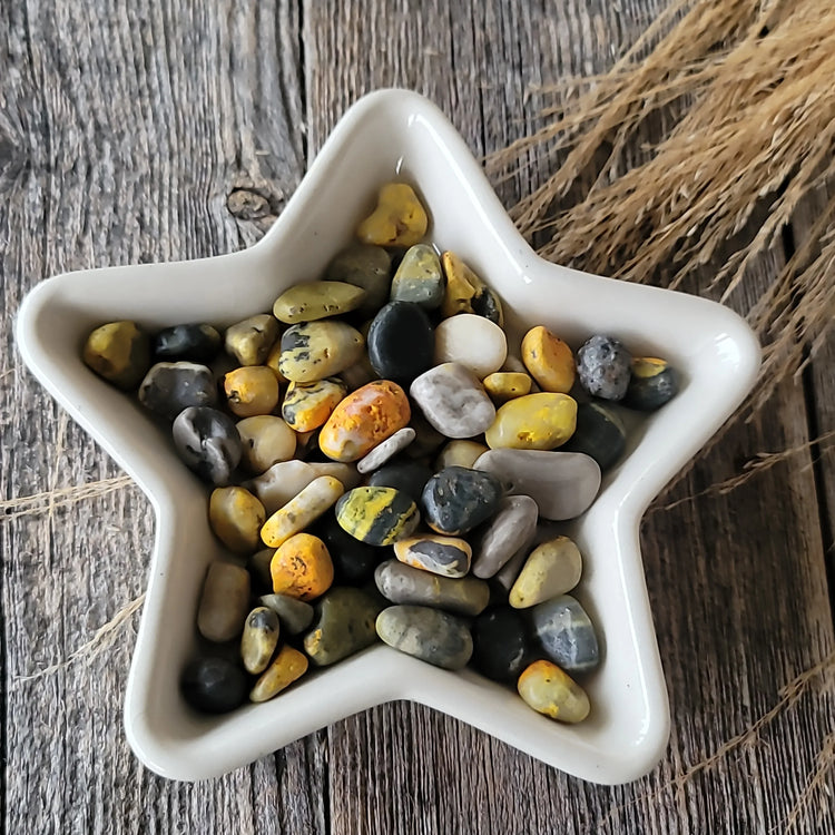 Bumblebee Jasper | Vitality + Courage Crystal