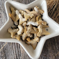 Shark teeth