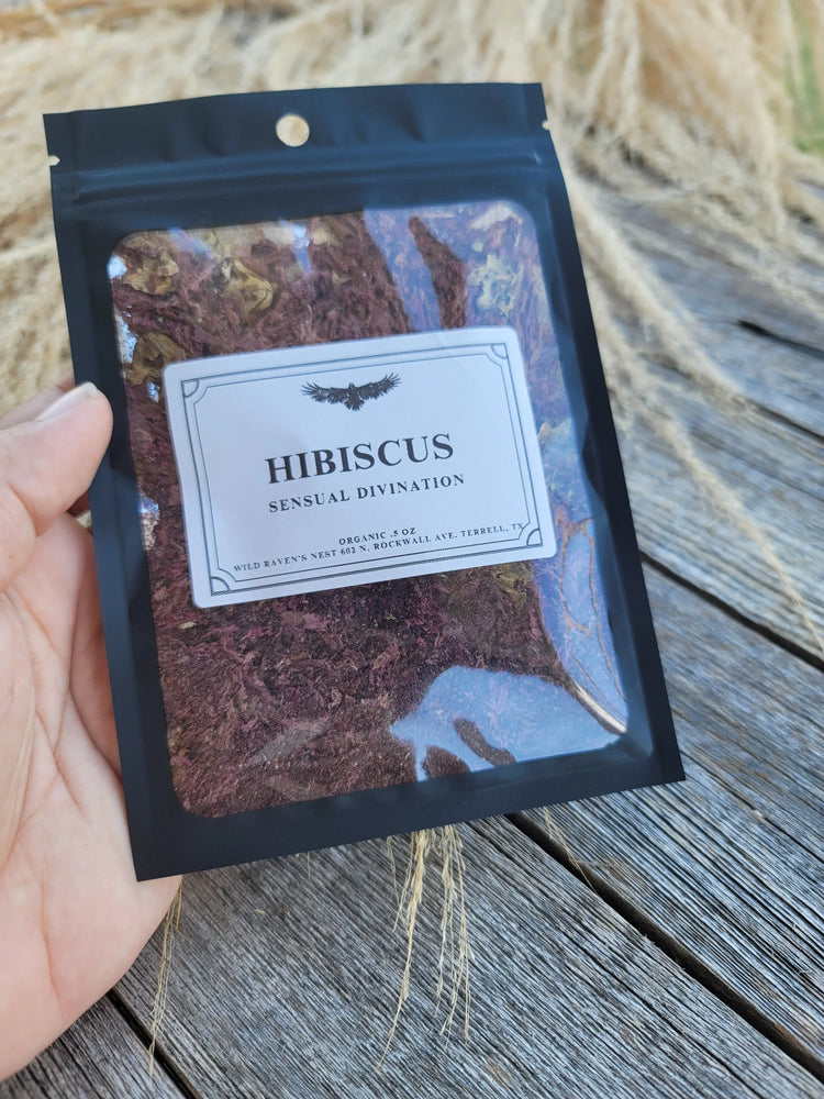 Hibiscus | Love, Beauty & Blood Flow