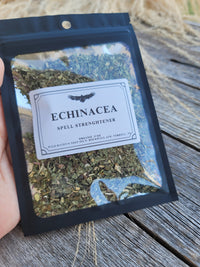 Echinacea - Herbs