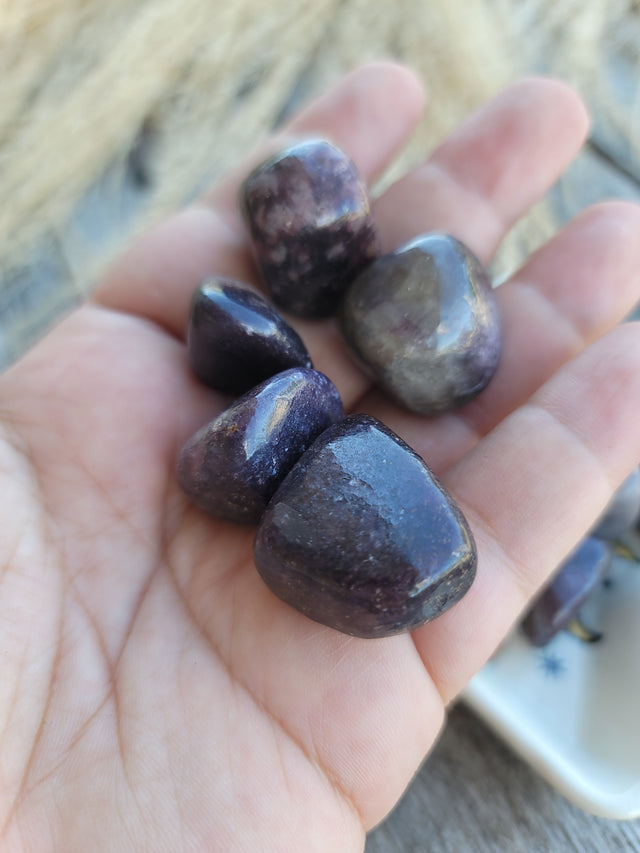 Lepidolite Tumbled