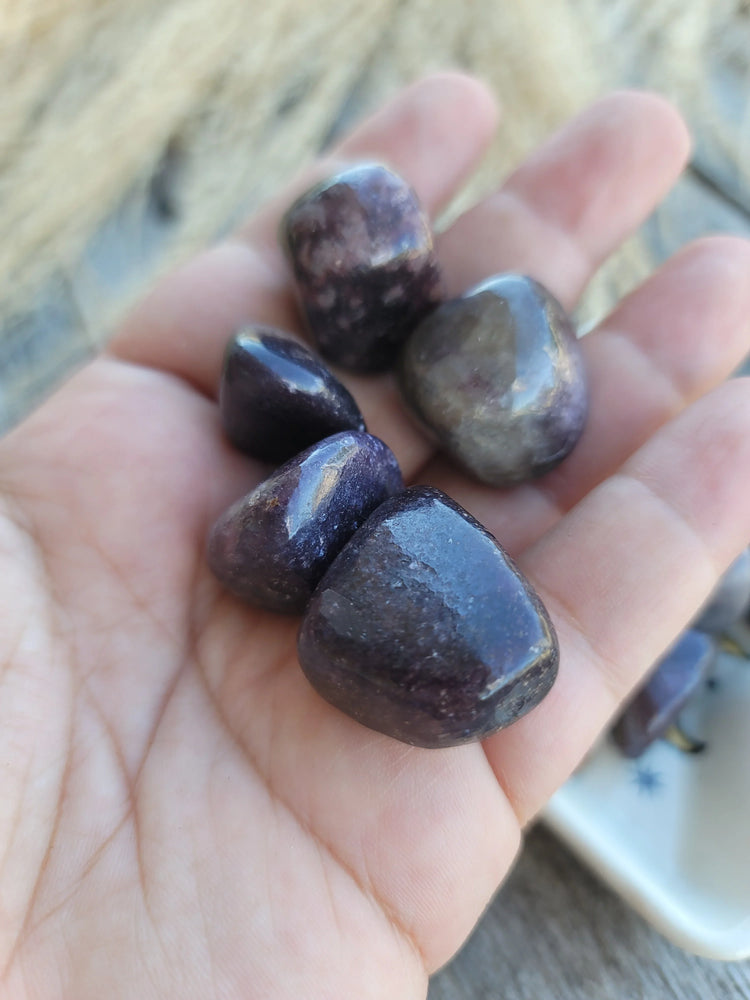 Lepidolite Tumbled