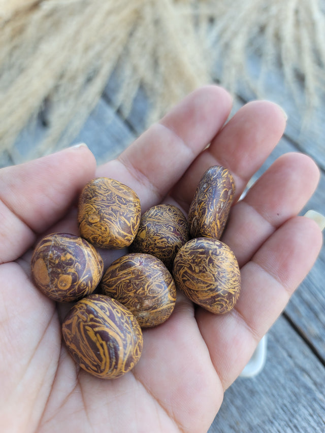 Mariam Jasper Tumbled