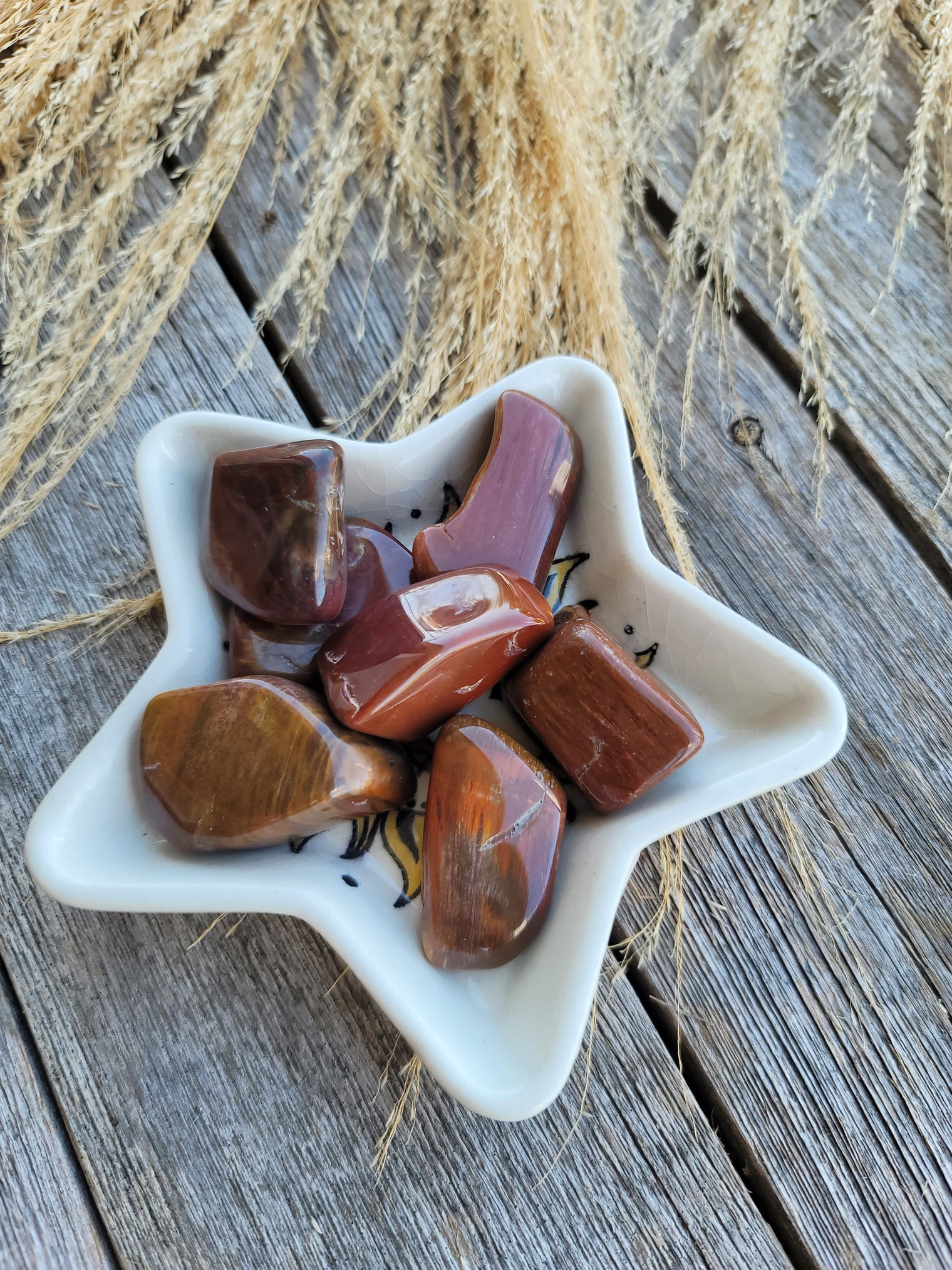 Petrified Wood Tumbled