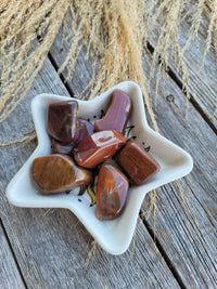 Petrified Wood Tumbled