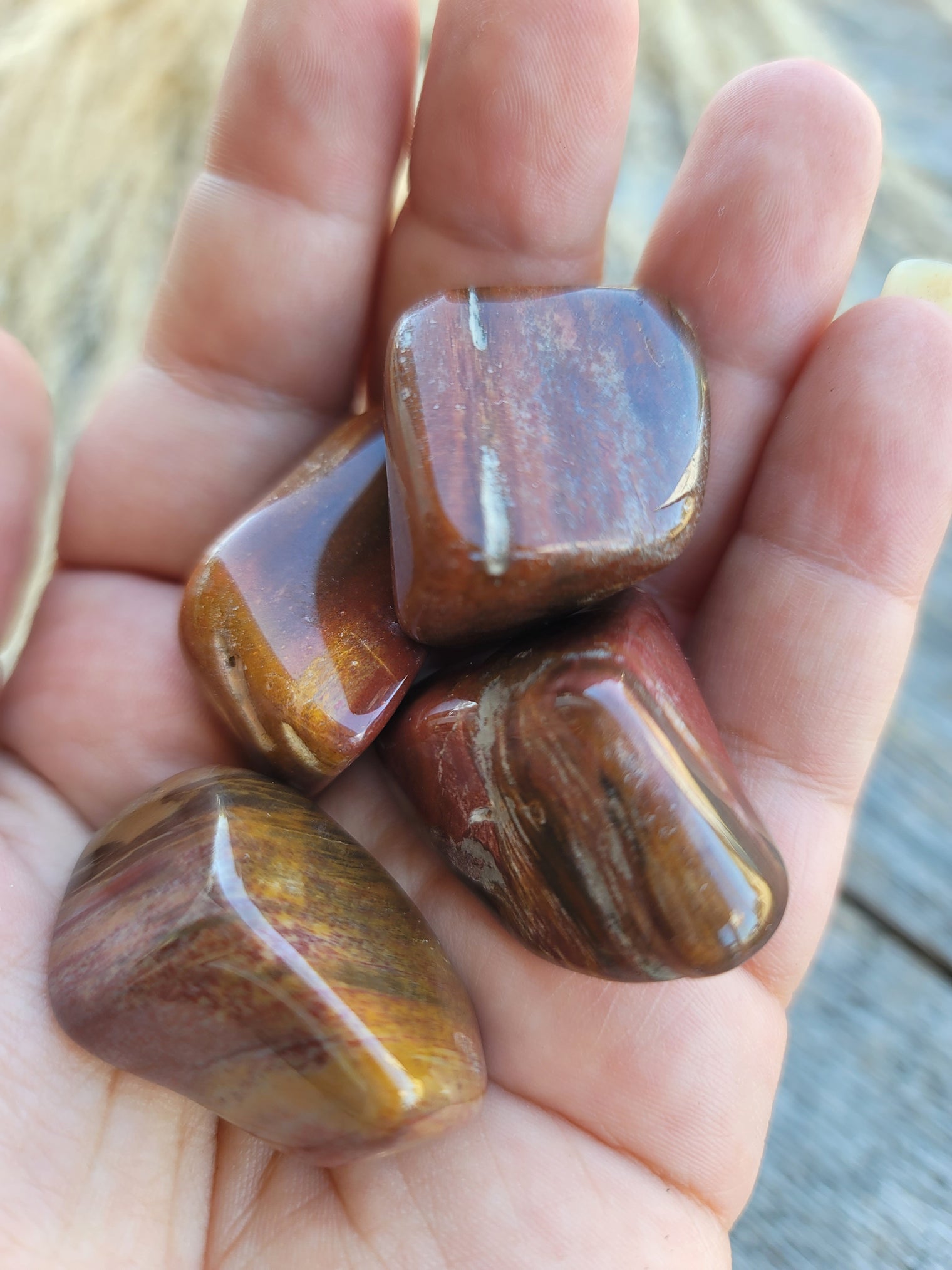 Petrified Wood Tumbled