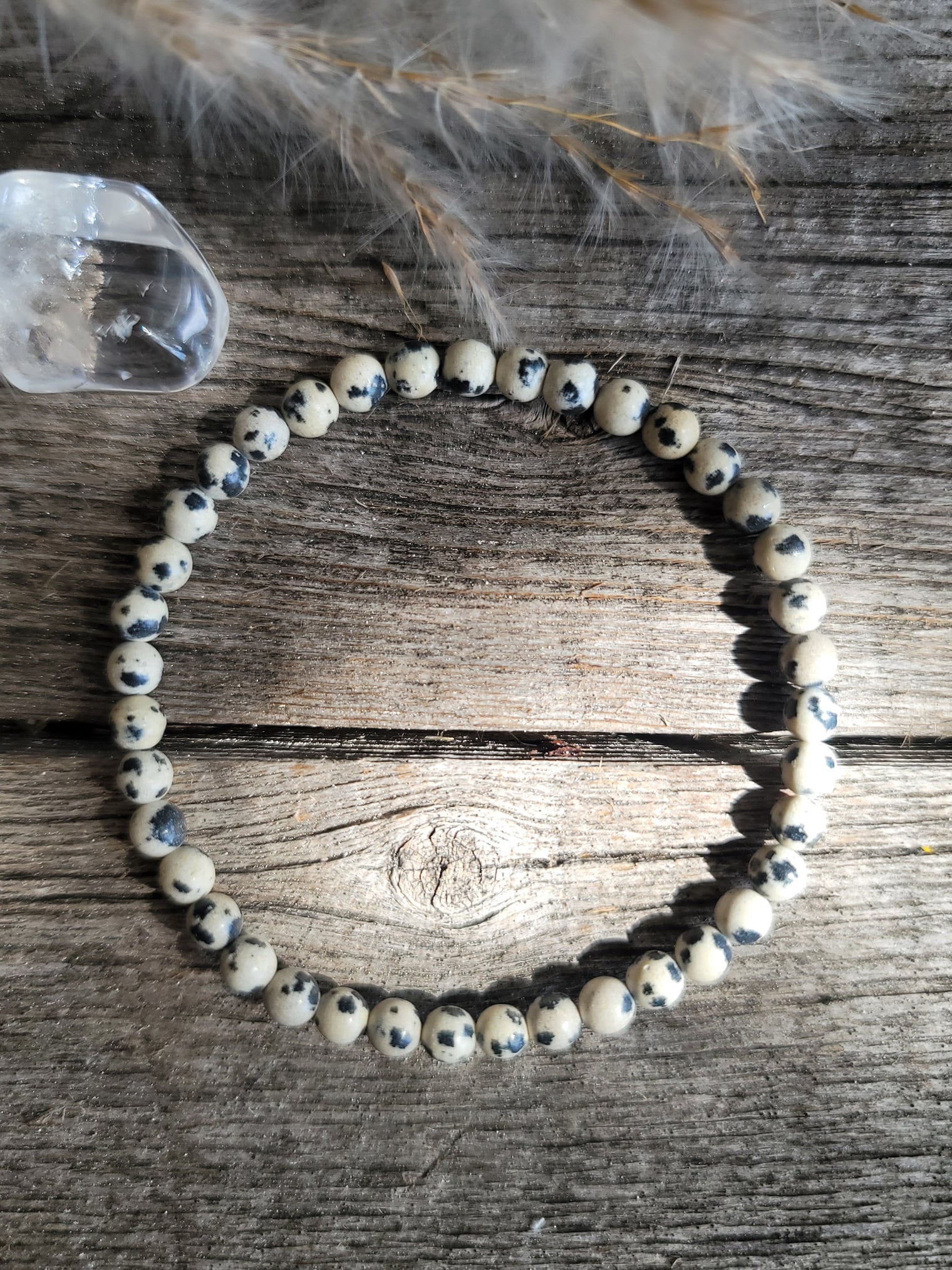 Dalmation Jasper Bracelet 4MM