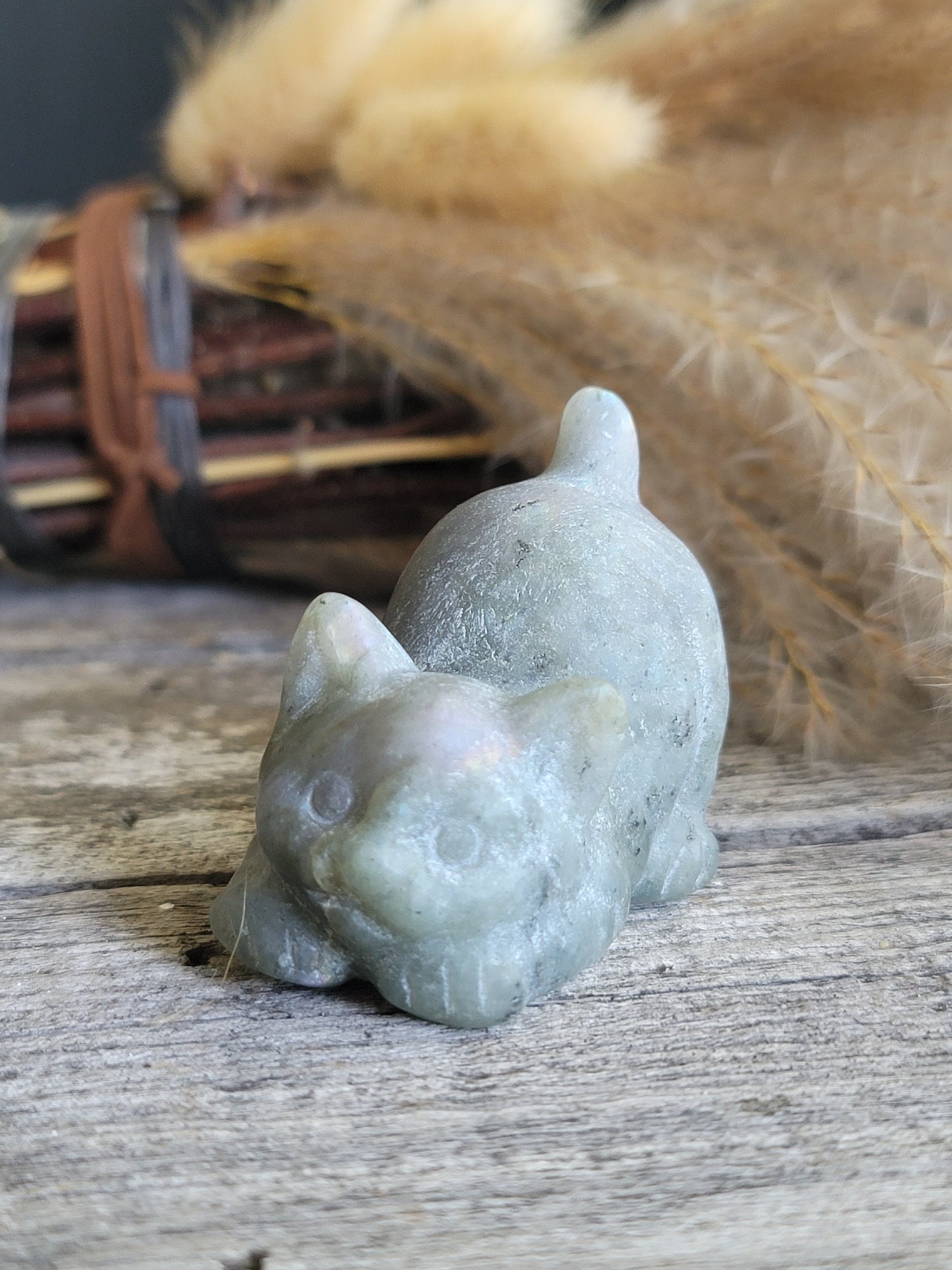 Labradorite Cat