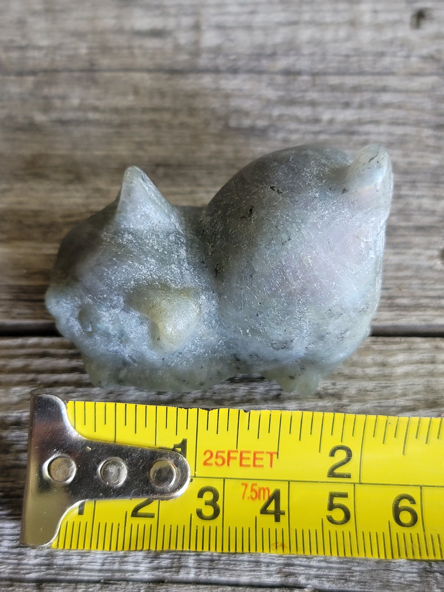 Labradorite Cat