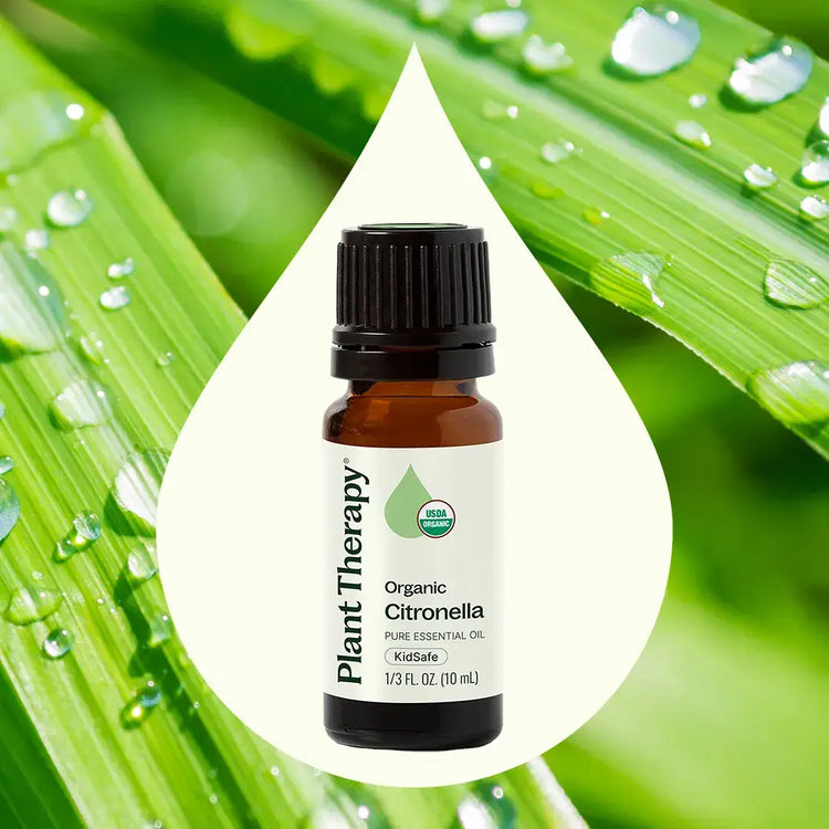 Organic Citronella Essential Oil 10 mL