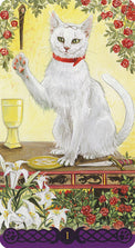 White cat with red collar on tarot card, surrounded by roses and lilies, mystical spiritual imagery