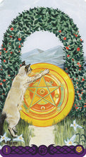 Cat reaching for golden pentacle under holly arch, mystical tarot art with crystals and nature elements