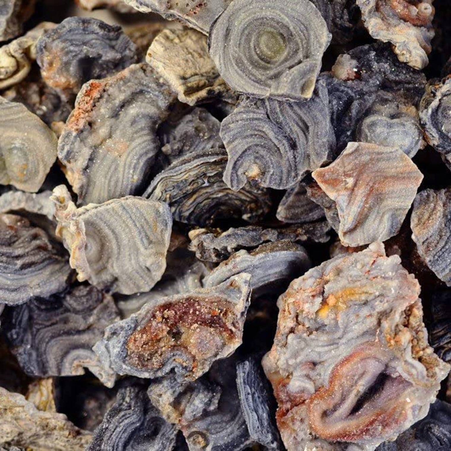 Zeusite Raw