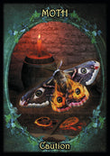 Moth tarot card with candle, crystals, and caution text — mystical spiritual artwork for metaphysical practice
