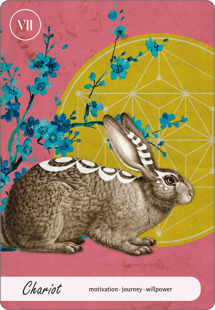 Wise Earth Medicine Tarot: 78 Cards & 96 Page Guidebook