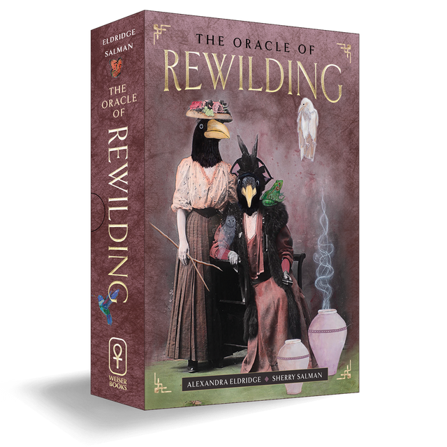 The Oracle of Rewilding tarot deck with crow figures, incense, and mystical art for spiritual guidance