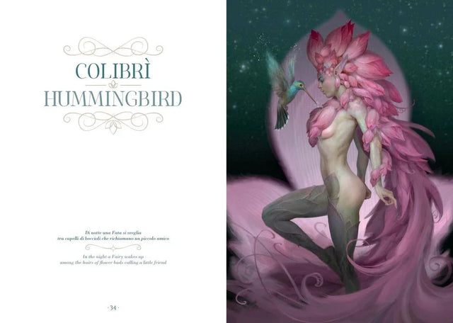 Night Fairies Book