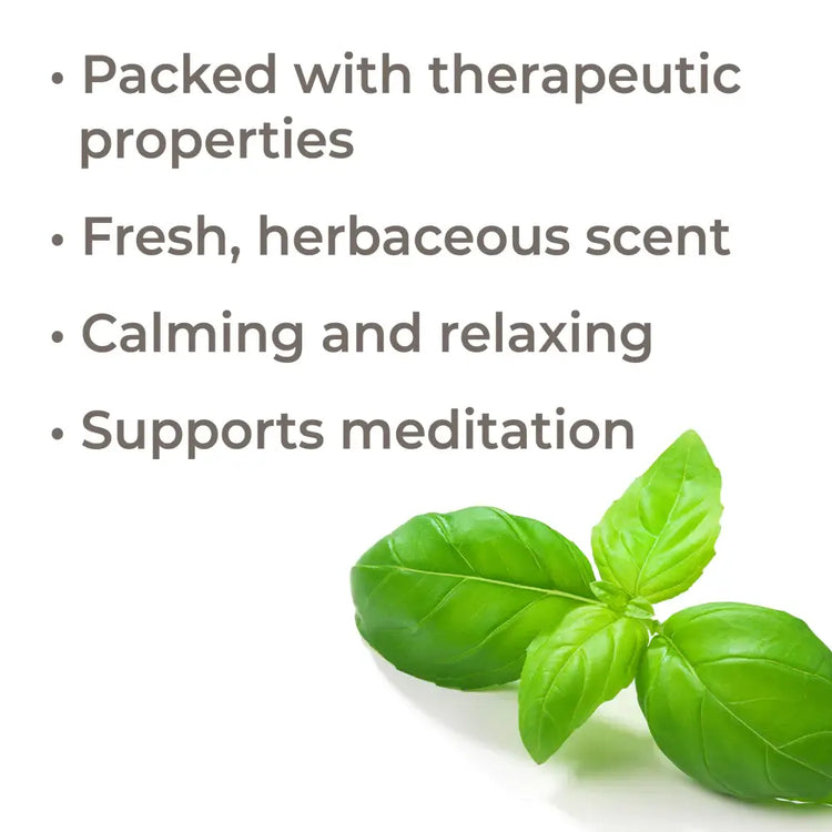 Organic Basil Linalool Essential Oil 10 mL