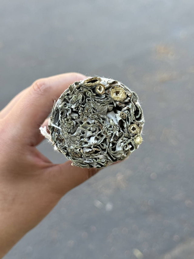 White Sage Herb Wands -  9" Inch