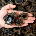 Hand holding raw black obsidian crystals, rough healing stones, metaphysical supplies