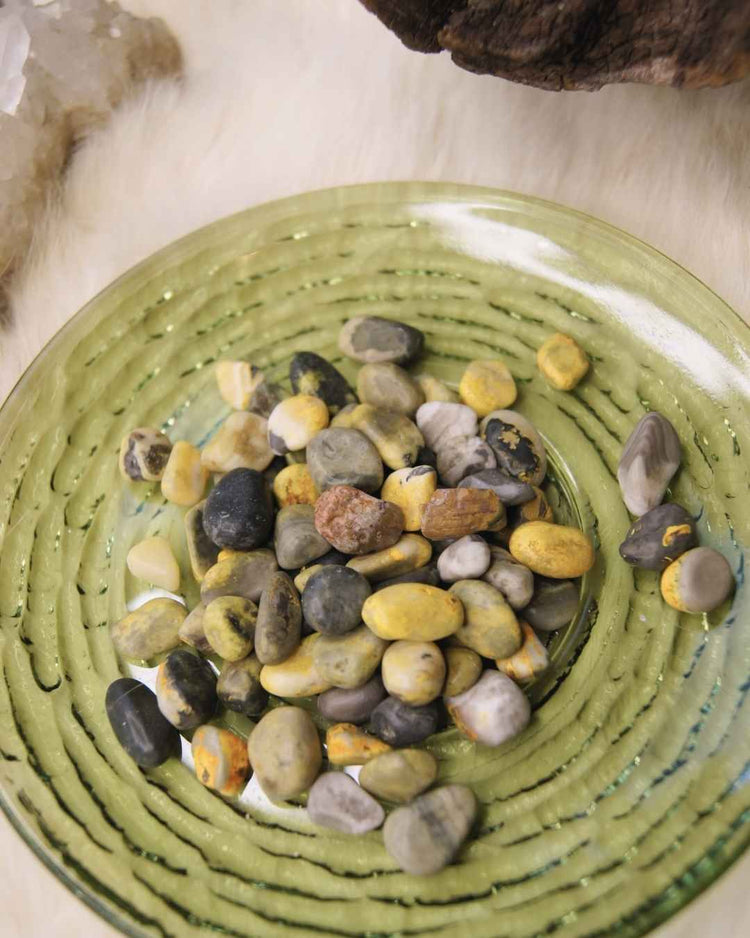 Bumblebee Jasper | Vitality + Courage Crystal